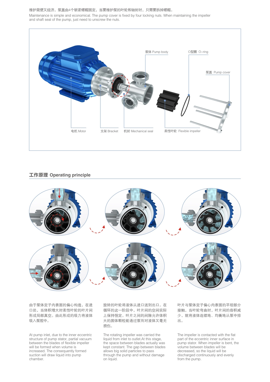 Sanitary Flexible Impeller Pump in China